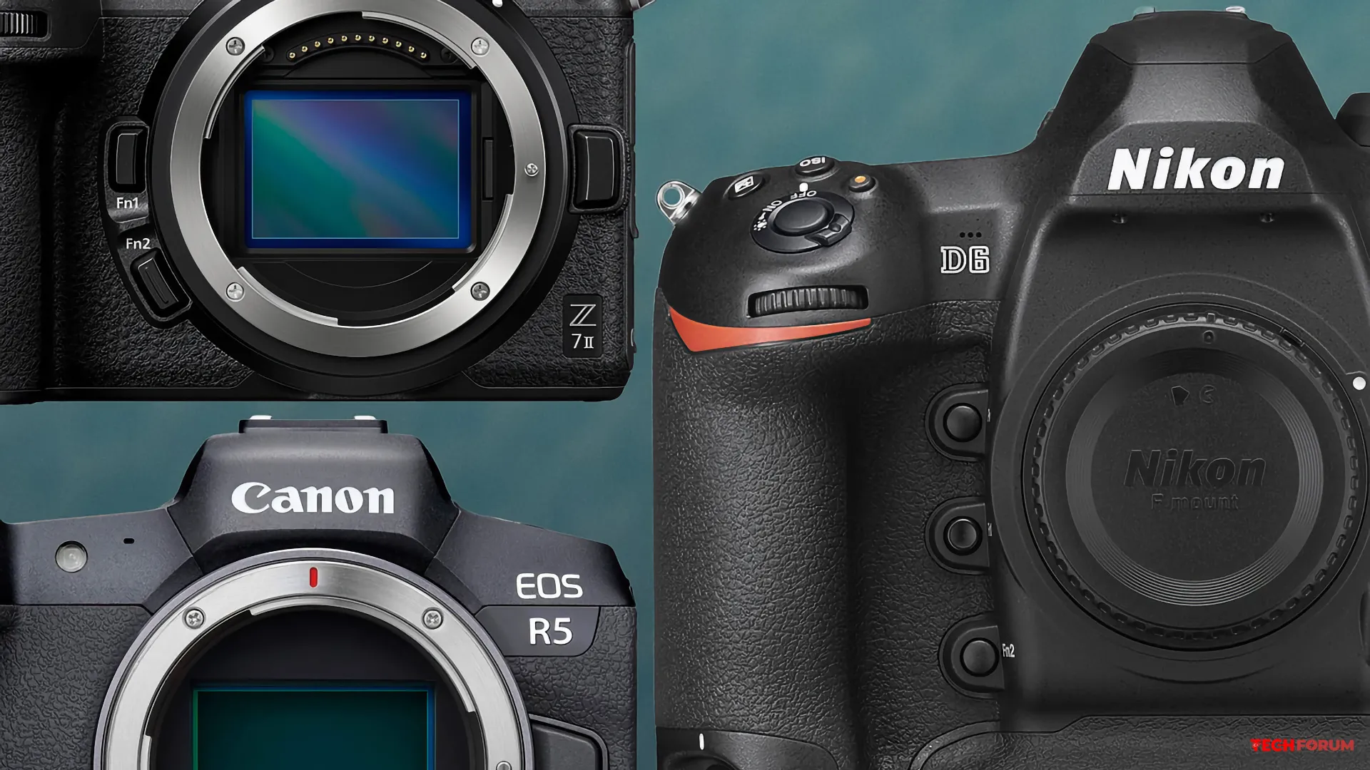 NASA, Canon ve Nikon kameralarını uzay koşullarında test etti
