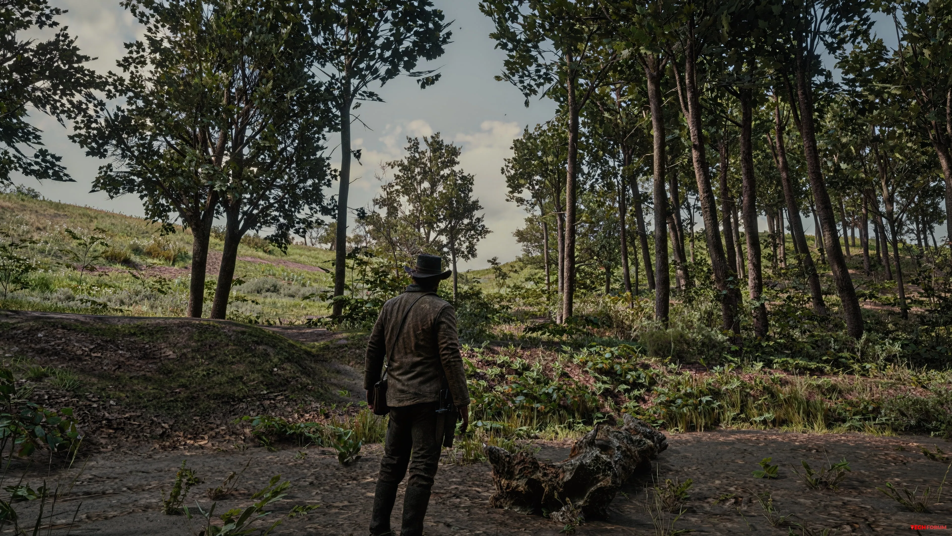 Red Dead Redemption 2 PC'de Yeni Nesil Görünüme Kavuştu - Görsel 2